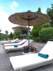 Fotografie z fotogalerie ubytování Quinta da Telheira v destinaci Vila Real