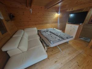 a living room with a white couch and a tv at KOČA PLANIKA, SVIŠČAKI in Ilirska Bistrica