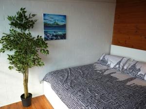 
a bed that has a plant on top of it at Penny's Place in Fremantle
