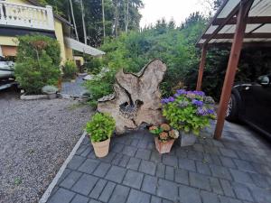 a tree stump with flowers and plants in pots at Urlaub im Ruhrgebiet in Holzwickede +7 photos