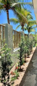 En have udenfor Colibri