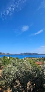 a view of a body of water with a building and trees at Villa Nikos in Agios Dimitrios +15 photos