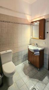a bathroom with a toilet and a sink at Villa Nikos in Agios Dimitrios