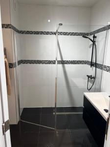 a shower with a glass door in a bathroom at Wolu suites in Brussels