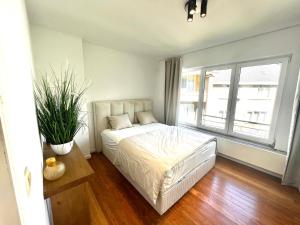 a bedroom with a bed and a potted plant at Wolu suites in Brussels