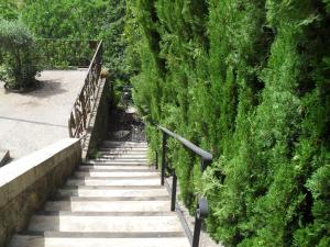a stairway with green plants on a wall at ViLA VELLA 1 in Santa Pau