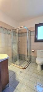 a bathroom with a shower and a toilet at Villa Dimitra in Agios Dimitrios