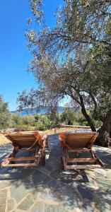 two wooden boats are sitting under a tree at Villa Dimitra in Agios Dimitrios