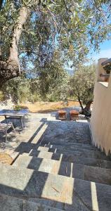 a picnic table and benches sitting under a tree at Villa Dimitra in Agios Dimitrios