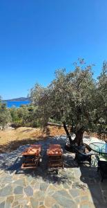 a group of tables and chairs under a tree at Villa Dimitra in Agios Dimitrios
