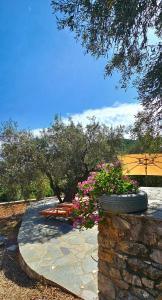 a tire sitting on top of a stone wall with flowers at Villa Dimitra in Agios Dimitrios