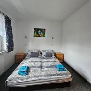 Posteľ alebo postele v izbe v ubytovaní Apartament 112