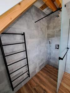 a bathroom with a shower with a ladder in it at Chalupa Vápenka in Stárkov