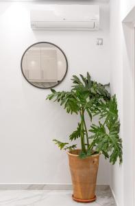 Fotografie z fotogalerie ubytování Meraki Home v destinaci Lixouri