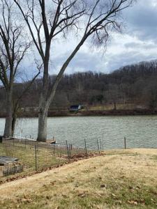 un cuerpo de agua con un árbol y una valla en Take me to the River!, en Zanesville