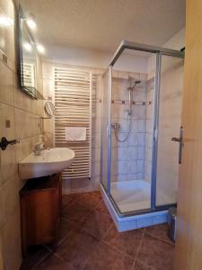 y baño con ducha, lavamanos y ducha. en Ferienwohnung Kutscherstuben Bauernhaus Vetter, en Kurort Gohrisch