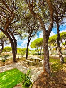 Vonkajšia záhrada v ubytovaní Agradable casa de campo con piscina en la Barrosa