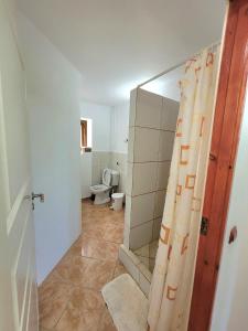 un bagno con un water e una tenda da doccia di Casa Obreja a Parcheş