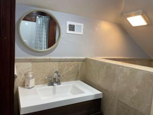 チャールストンにあるEclectic Third Floor Apartmentの洗面台と鏡のあるバスルーム