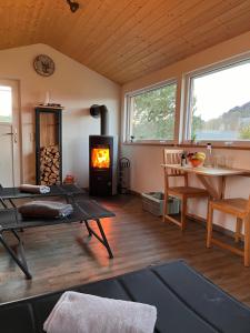 a living room with a wood stove in a room at Pension Bauernhaus Vetter in Kurort Gohrisch