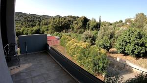 Příroda nedaleko apartmánu