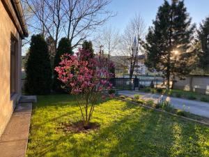 a bush with pink flowers in a yard at Villa Ilidza فيلا إليدزا in Ilidza