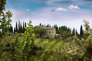 una casa en medio de un campo con árboles en allegretti appartamento aia, en Castelnuovo Berardenga
