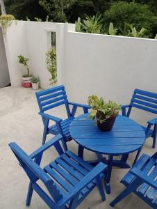 a blue table and chairs with a plant on it at Casinha aconchegante in Guaramiranga