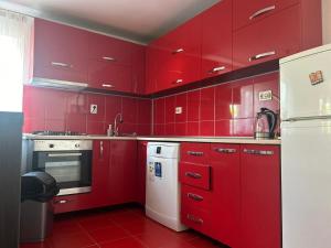 Kuchyň nebo kuchyňský kout v ubytování Casa de la Dunăre
