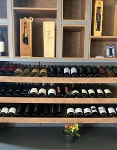 Ein paar Weinflaschen in einem Weinkeller. in der Unterkunft Pousada Água Santa in São Joaquim + 19 Fotos