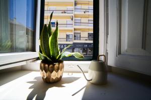 Imagen de la galería de Baron Faro - Guest House, en Faro