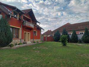 a house with a green yard in front of it at Serena House in Cârțișoara