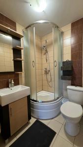 a bathroom with a shower and a toilet and a sink at Andiland in Karwia +32 photos