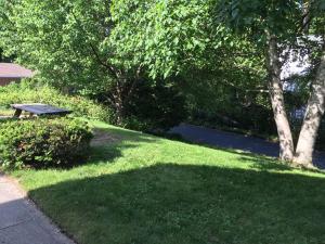 a park bench sitting in the grass next to a sidewalk at Ludington Blue Spruce Inn in Ludington +15 photos