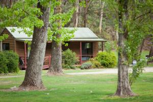 a log cabin with trees in front of it at Beechworth Holiday Park in Beechworth