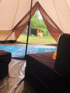 LúčkaにあるShambhala centrumの背景に犬が歩いているテント