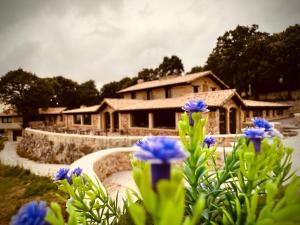 a house with blue flowers in front of it at La Quinta Luxury Palace in Arnuero +49 photos