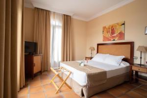 a hotel room with a bed and a television at Hotel Albaida Nature in Mazagón