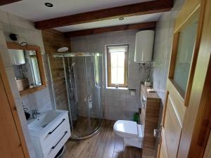 a bathroom with a shower and a sink and a toilet at Domki U Tadzia 603-425-844 in Polańczyk +44 photos