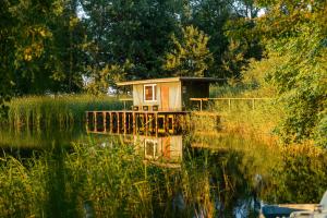 Κήπος έξω από το Ferienwohnung mit Seeblick