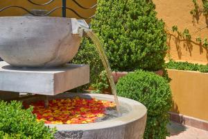 圣米格尔-德阿连德Casa Zaca, 3BR Centro Home with Rooftop & Garden的里面有一串水果的喷泉