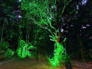 Um jardim em Pousada Caminho das Candeias