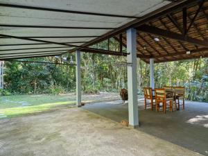 Um jardim em Pousada Caminho das Candeias