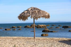 Природа в окрестностях апартаментов/квартиры