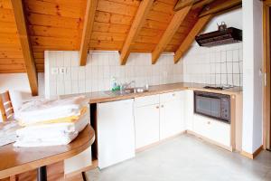 Kuchyň nebo kuchyňský kout v ubytování Freihof Embrach
