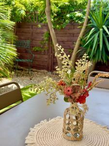 En have udenfor Les Cactus Fréjus Plage