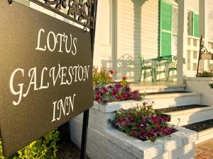 Fotografie z fotogalerie ubytování Lotus Galveston v destinaci Galveston