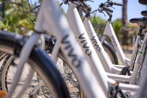 a row of bikes parked next to each other at Costa D'Argento - Camping Village Club Capalbio in Capalbio