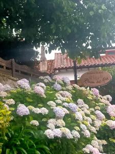 Vonkajšia záhrada v ubytovaní Posada Rincón del Pas