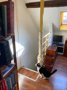 Gallery image of Chambre spacieuse in Lieusaint +2 photos